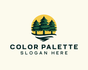 Pine Tree Forest logo design