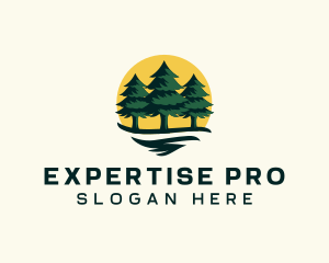 Pine Tree Forest logo design