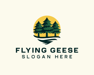 Pine Tree Forest logo design