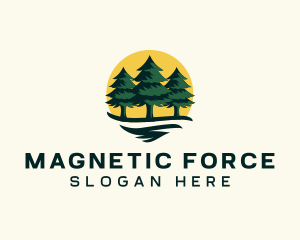 Pine Tree Forest logo design