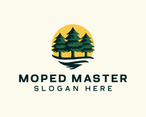 Pine Tree Forest logo design