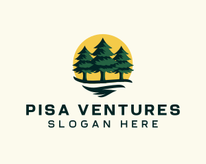 Pine Tree Forest logo design