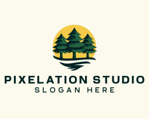 Pine Tree Forest logo design