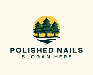 Pine Tree Forest logo design