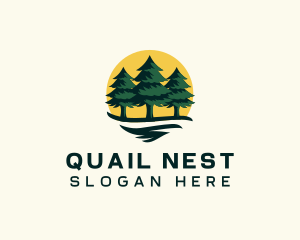 Pine Tree Forest logo design