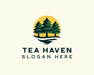 Pine Tree Forest logo design