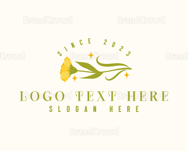 Flower Daisy Boutique Logo