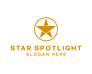 Professional Star Entertainment  logo design