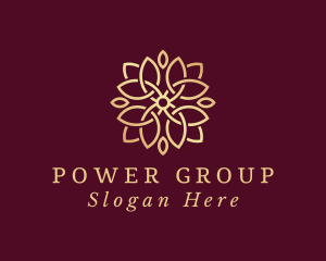 Decorative Flower Spa  Logo