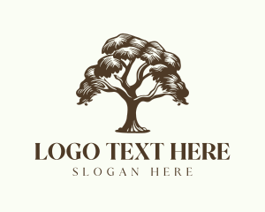 Canopy - Forestry Oak Tree logo design
