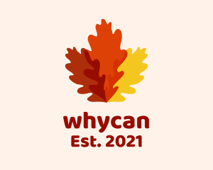 Park - Autumn Oak Leaves logo design