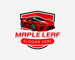 Racing Car Detailing Logo