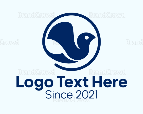 Minimalist Dove Bird Logo