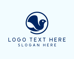 Avian - Minimalist Dove Bird logo design