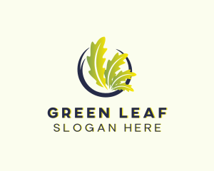 Vegan Leaf Organic logo design