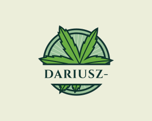 Medical Marijuana - Marijuana Cannabis Plant logo design