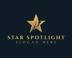 Star Studio Entertainment logo design