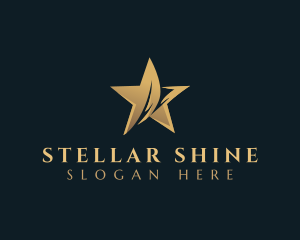 Star Studio Entertainment logo design