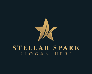 Star Studio Entertainment logo design