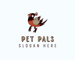 Pet Bird logo design