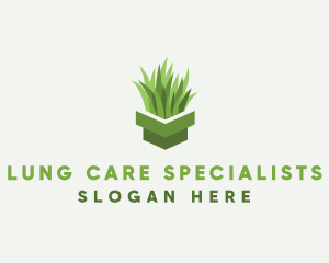 Plant Grass Pot logo design