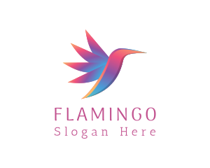 Bird Watching - Gradient Flying Hummingbird logo design