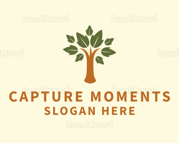 Organic Tree Farm Logo