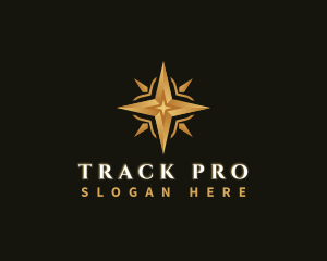 Tracker - Navigation Star Compass logo design