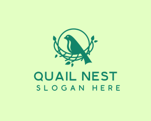 Tree Bird Nest logo design