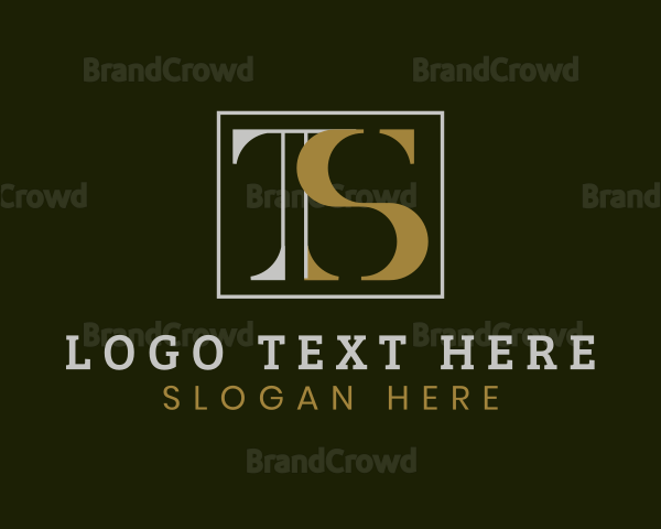 Modern Elegant Company Letter TS Logo