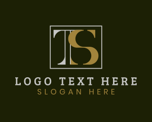 Modern Elegant Company Letter TS Logo