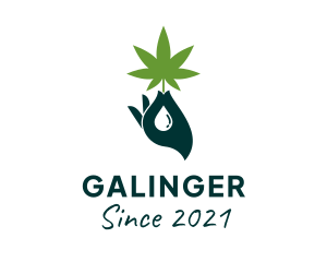 Dispensary - Cannabis Medicinal Leaf logo design