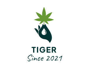 Botanical - Cannabis Medicinal Leaf logo design