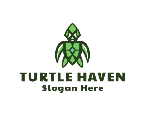Creative Modern Turtle logo design