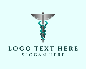 Paramedic - Caduceus Staff Hospital logo design