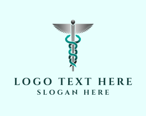Health Care Provider - Caduceus Staff Hospital logo design