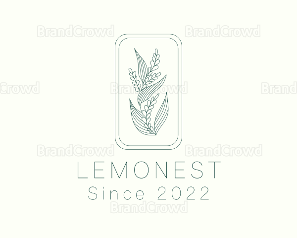 Artisan Herb Leaf Logo