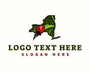 Map - New York Ladybug Insect logo design