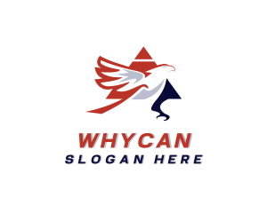 Eagle Triangle Aviation Logo