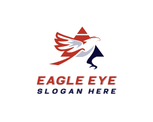 Eagle Triangle Aviation logo design