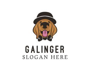 Animal - Pet Dog Hat Grooming logo design