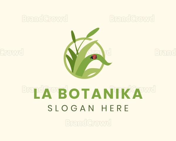 Grass Lady Bug Logo