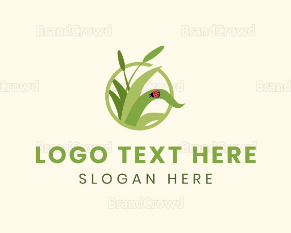 Grass Lady Bug Logo