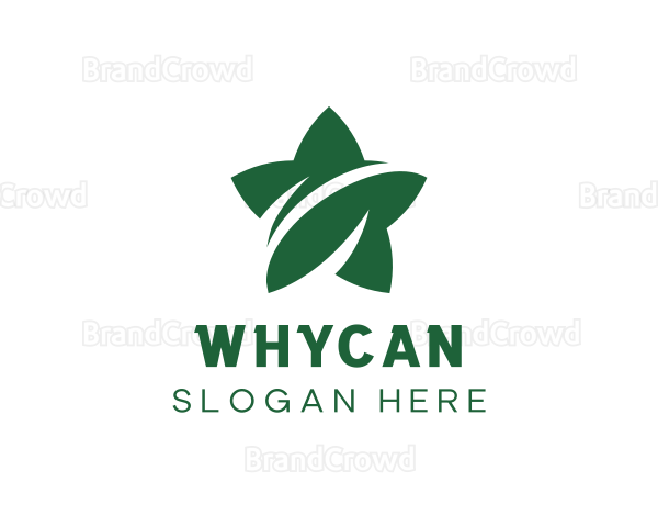 Organic Star Leaf Logo