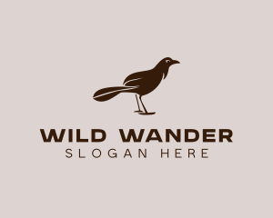 Animal Bird Aviary logo design