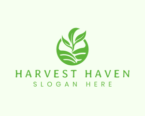 Agriculture Harvest Plant logo design