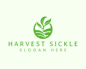 Agriculture Harvest Plant logo design