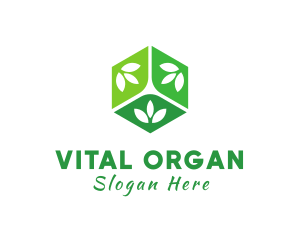 Natural Organic Cube logo design