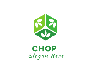 Vegan - Natural Organic Cube logo design