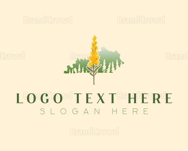 Kentucky Goldenrod Flower Logo